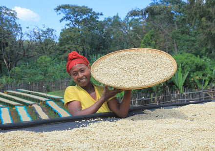 Koffie uit Ethiopië: het geboorteland van koffie
