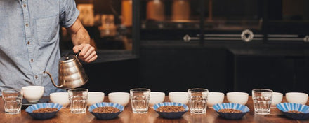 Cupping: het proeven en beoordelen van koffiebonen